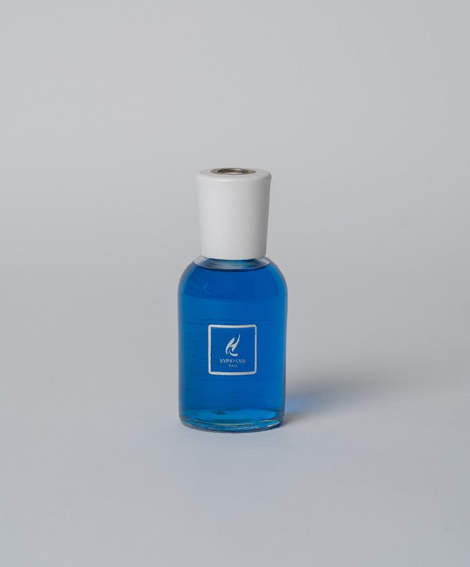 DIFFUSORE CON BASTONCINI HYPNOCASA - ARIA DI MARE 100 ML