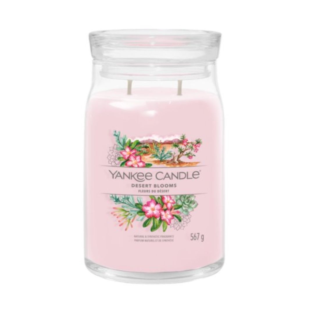 DESERT BLOOMS - CANDELA GRANDE SIGNATURE