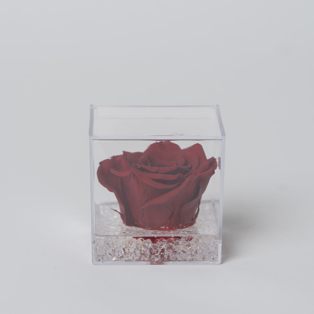ROSA STABILIZZATA CUBICA - ROSSA PICCOLA