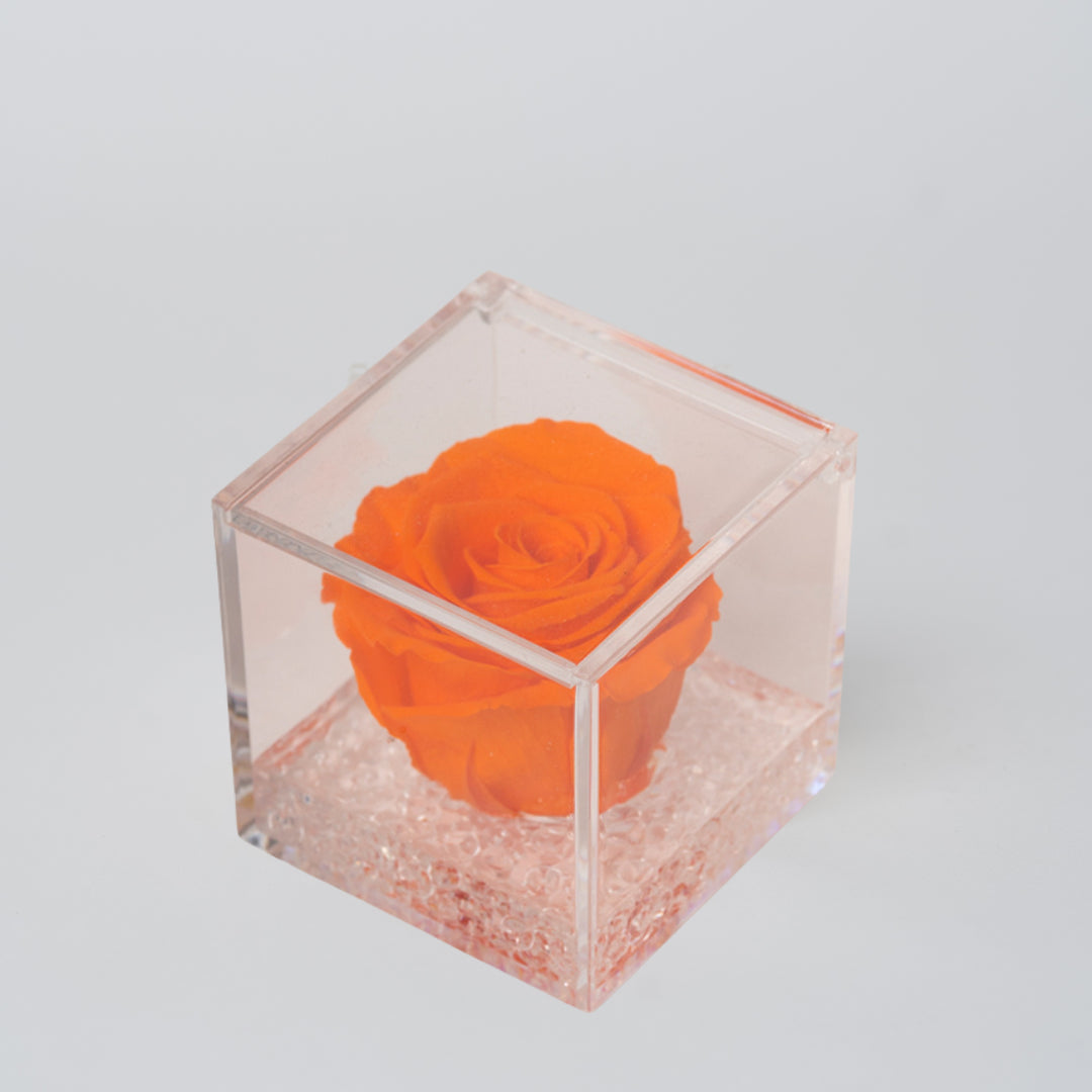 ROSA STABILIZZATA CUBICA - ARANCIO PICCOLA