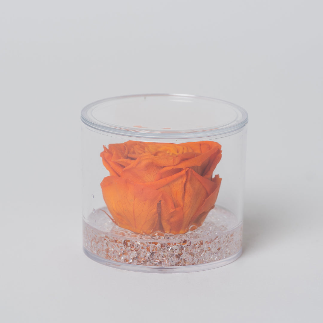 ROSA STABILIZZATA TONDA - ARANCIO
