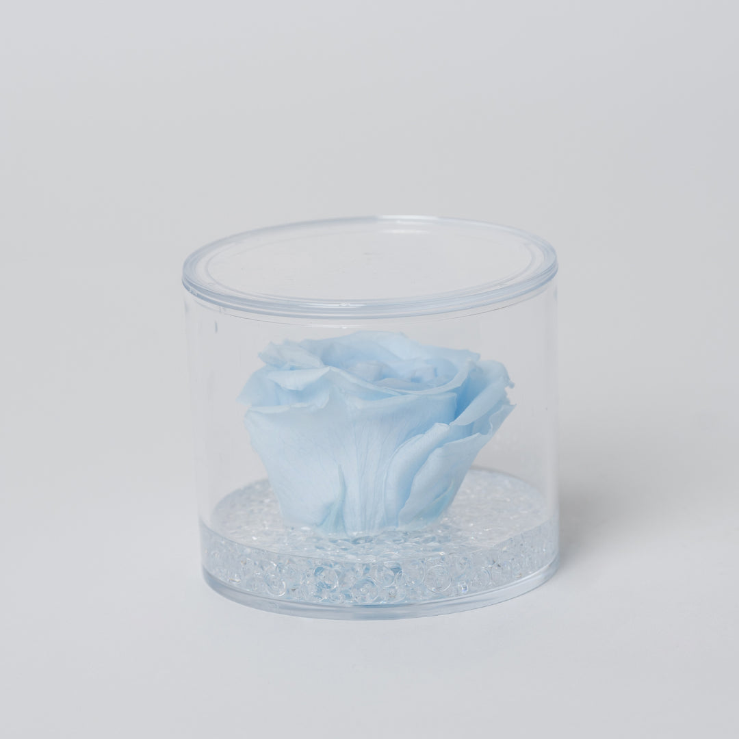 ROSA STABILIZZATA TONDA - AZZURRO
