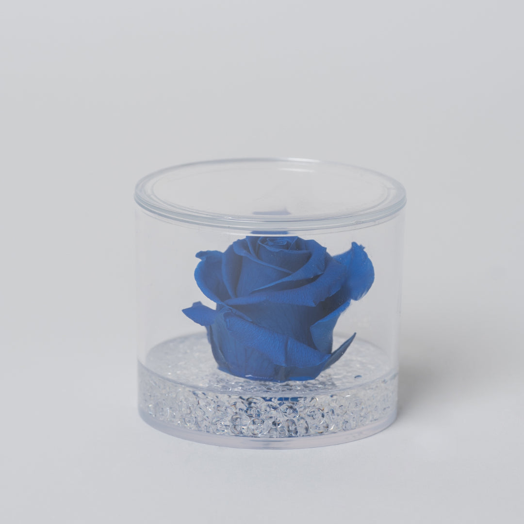 ROSA STABILIZZATA TONDA - BLU