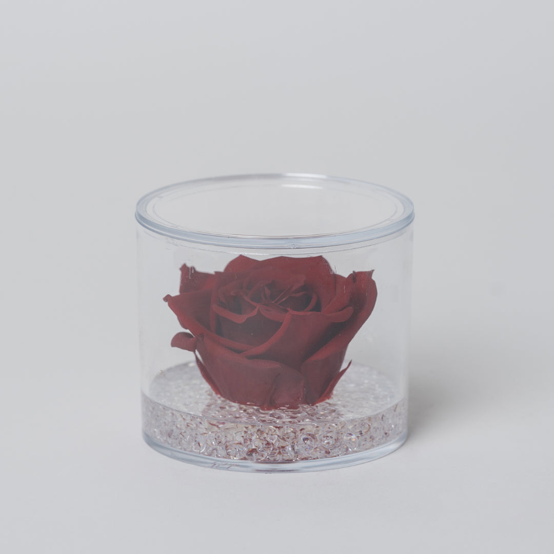 ROSA STABILIZZATA TONDA - ROSSA
