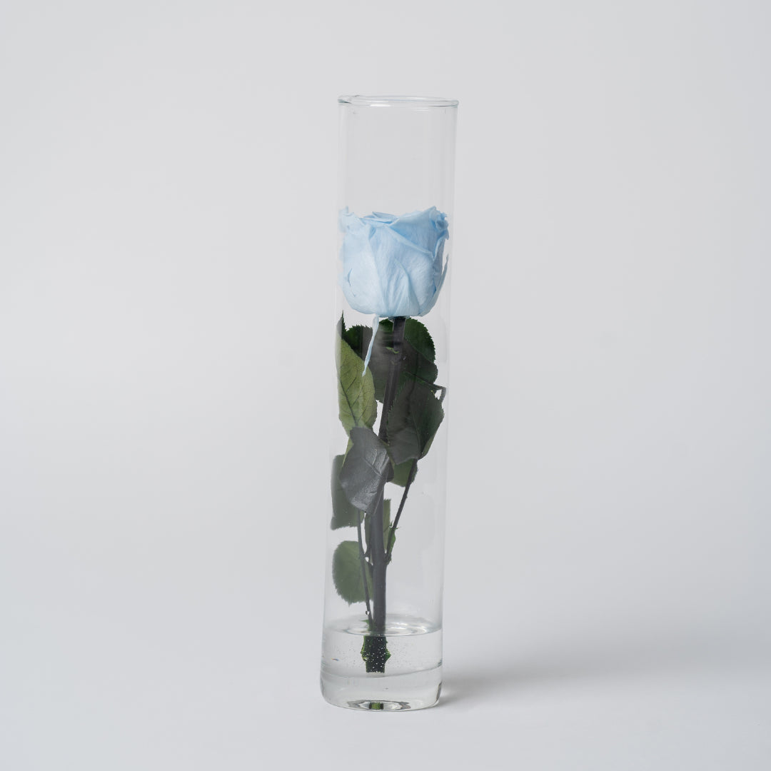 ROSA STABILIZZATA ALTA - AZZURRA