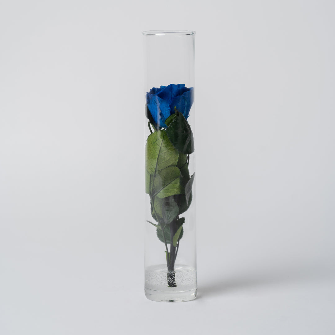 ROSA STABILIZZATA ALTA - BLU