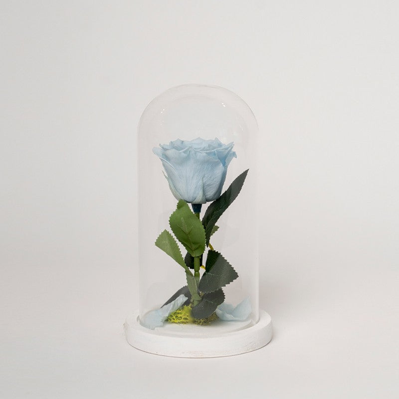 ROSA STABILIZZATA CILINDRO - AZZURRA PICCOLA