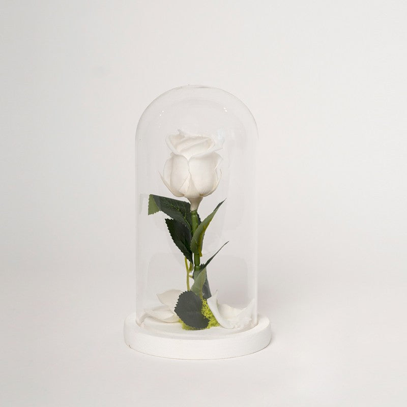 ROSA STABILIZZATA CILINDRO - BIANCA PICCOLA