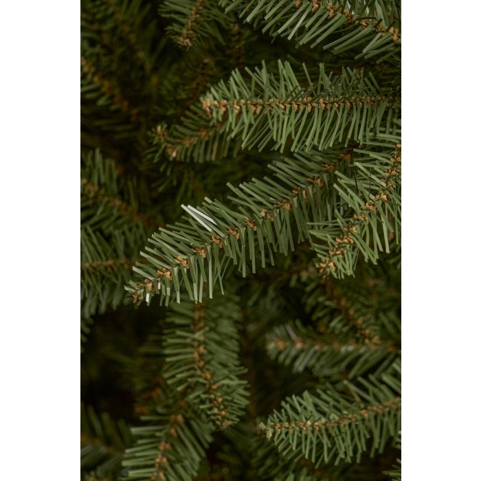 Albero di Natale Edulis 260 h cm