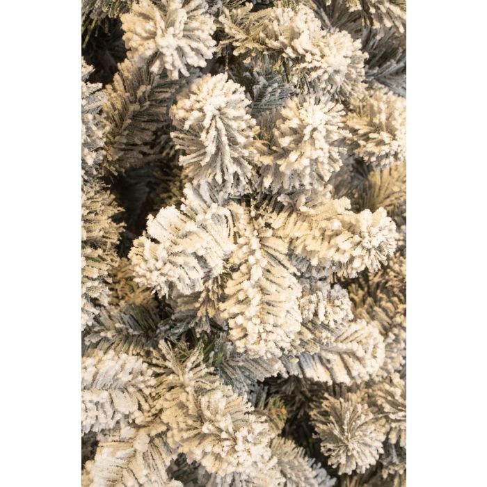 Albero Charlton frosted 230 h cm