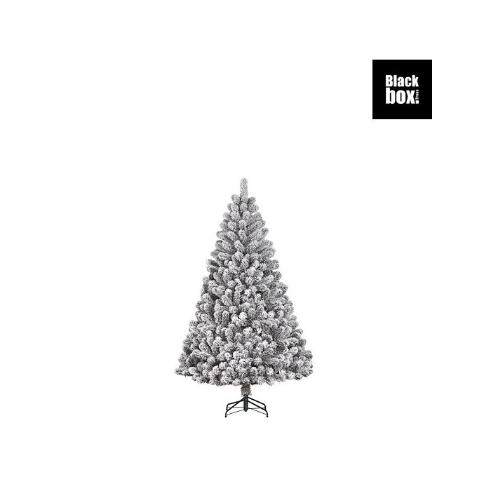 Albero Charlton frosted 230 h cm